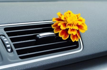 Ozon gegen schlechte gerüche im Auto Fahrzeugaufbereitung mit Ozon hilft